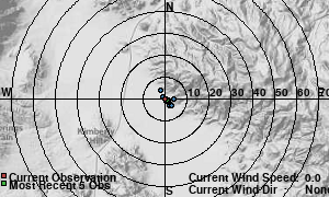 Wind Rose
